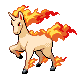 rapidash